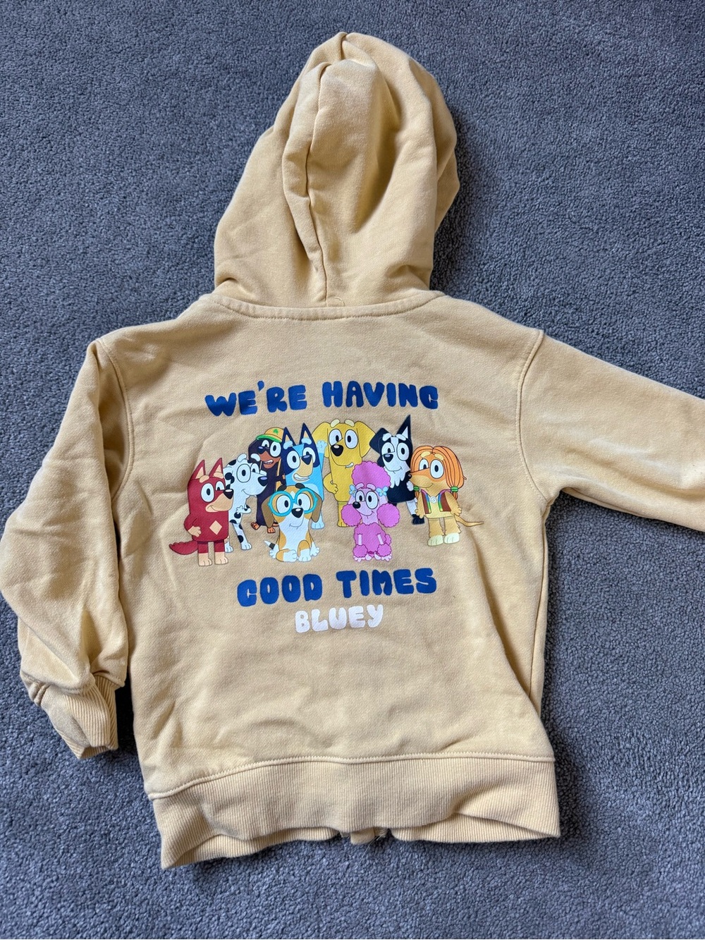 BLUEY “We're Having Good Times" zip up sweater